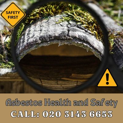 Expert Asbestos Health and Safety Services in Canbury | Call 020 3143 6653