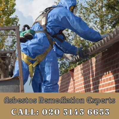 Asbestos Remediation Experts Canbury