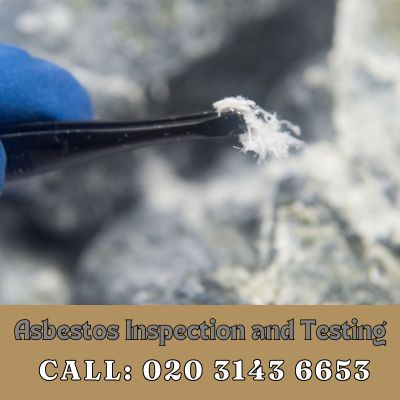 Comprehensive Asbestos Inspection and Testing Services in Canbury